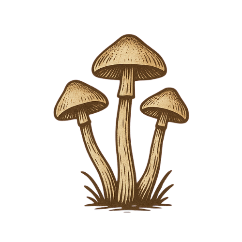 cubensis.shop